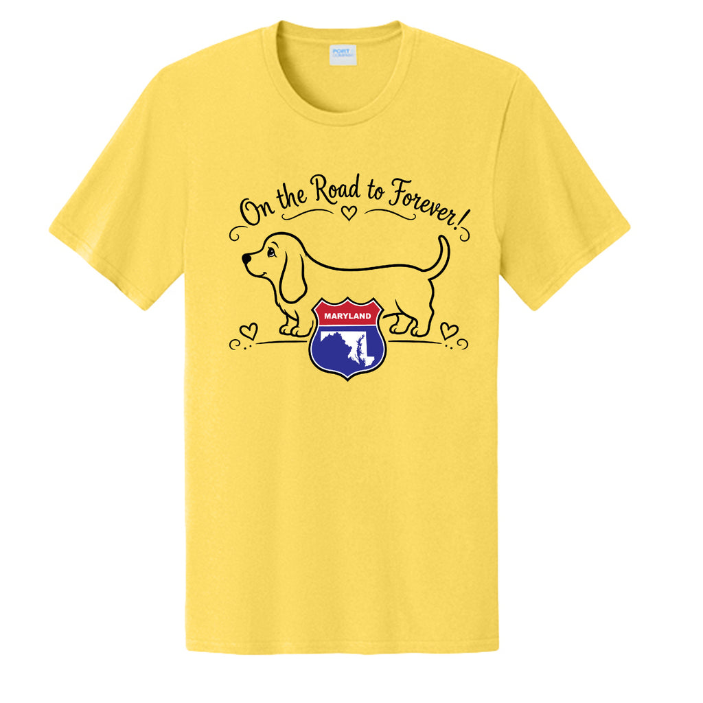 Yellow - PC43 - FRONT