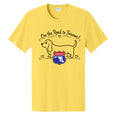 Yellow - PC43 - FRONT